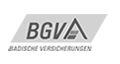 bgv